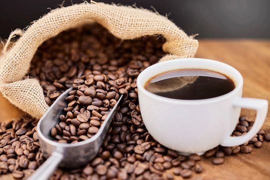 Châu Âu ra quy định mới về cấm nhập khẩu cà phê liên quan đến phá rừng