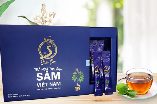 Sâm Việt Nam: Thân khỏe, tâm an, trí sáng