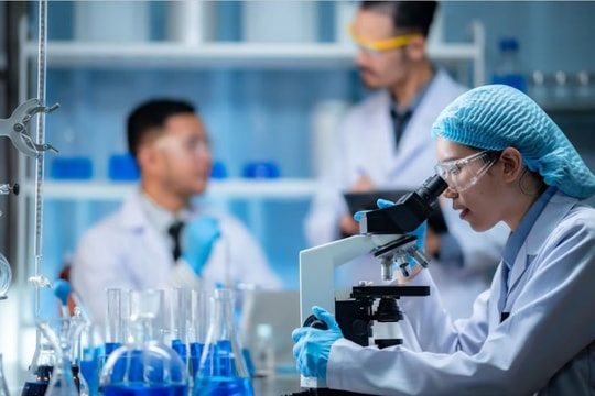 Phê duyệt chiến lược quốc gia về thu hút, trọng dụng nhân tài