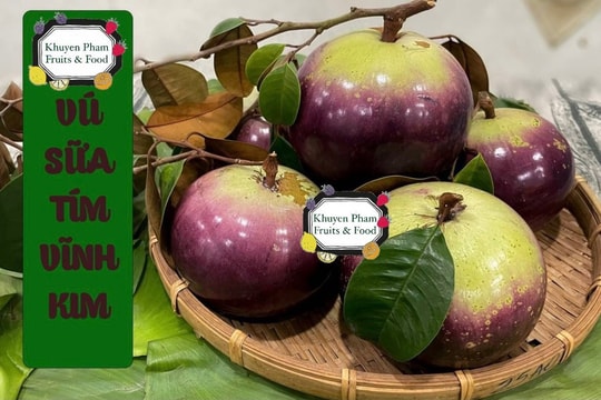 Trái cây Khuyên Phạm: Cam kết uy tín, chất lượng