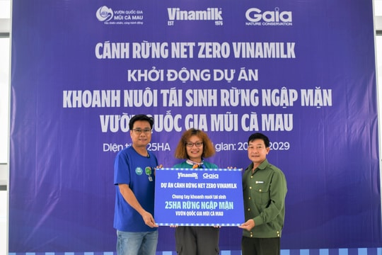 Vinamilk: Hình thành các “cánh rừng Net Zero”, tái sinh 25ha rừng ngập mặn Cà Mau