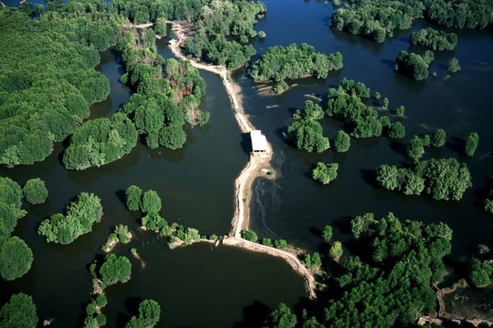 Cần Giờ được đề xuất thành khu Ramsar thế giới