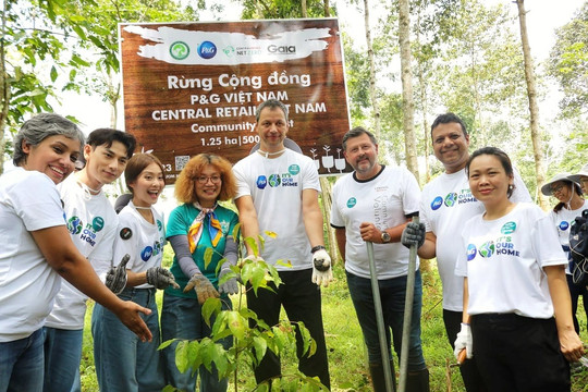 Gần 200 tình nguyện viên P&G Việt Nam và Central Retail Việt Nam trồng rừng