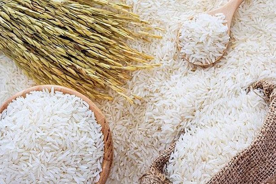 Tín hiệu khả quan về xuất khẩu gạo của Việt Nam trong nửa đầu năm 2024