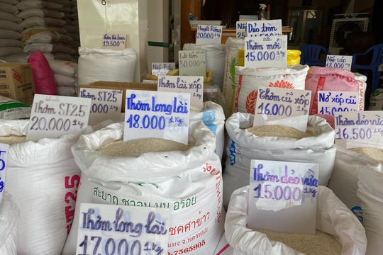 TP.HCM đảm bảo bình ổn giá gạo dịp Tết, đáp ứng đủ nhu cầu cho người dân