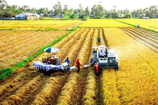 Xuất khẩu gạo của Việt Nam trong năm 2024 sẽ tiếp tục tăng trưởng