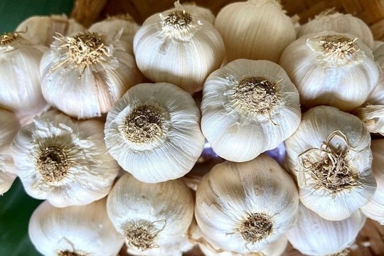 Giá hành tỏi tăng cao vào dịp Tết dương lịch Giá hành tỏi tăng cao vào dịp Tết dương lịch