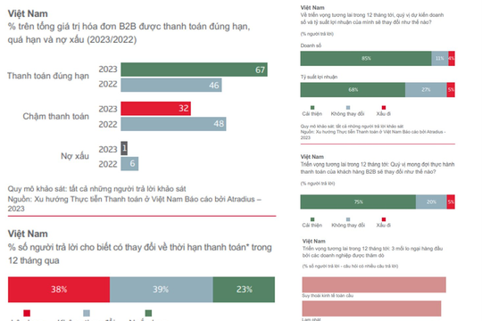 Doanh số bán hàng B2B trả chậm của Việt Nam đạt 67% Doanh số bán hàng B2B trả chậm của Việt Nam đạt 67%