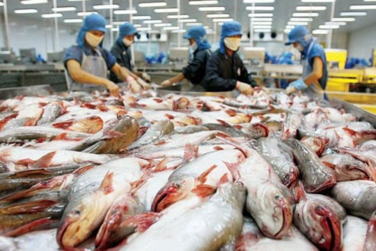 VASEP hướng tới mục tiêu xuất khẩu cá tra đạt 2 tỷ USD trong năm 2024 VASEP hướng tới mục tiêu xuất khẩu cá tra đạt 2 tỷ USD trong năm 2024