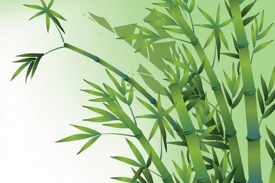 “Ngoại giao cây tre” sức mạnh của Việt Nam “Ngoại giao cây tre” sức mạnh của Việt Nam