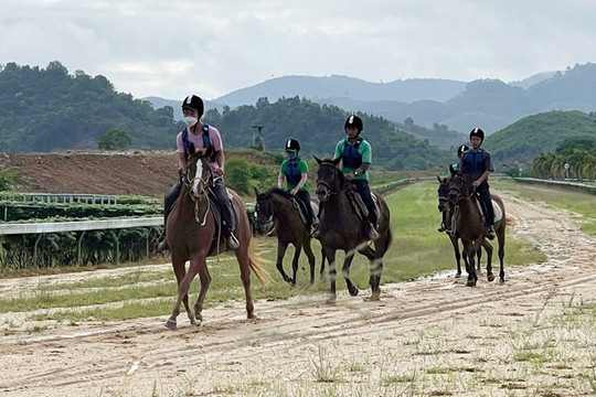 Chuyển đổi hơn 6.500m2 đất tại Lâm Đồng để xây dựng Trường đua ngựa, đua chó Thiên Mã