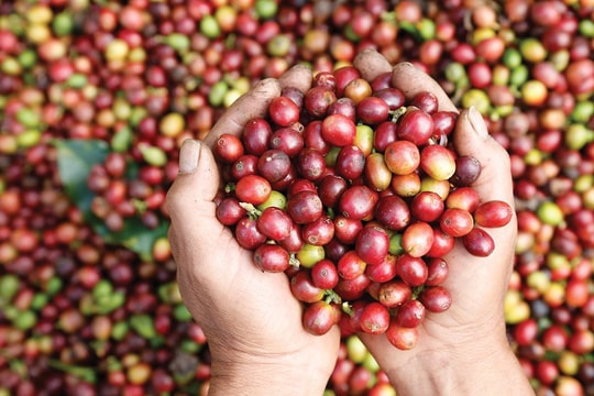 Chìa khóa vào EU và nhiều hơn thế nữa Chìa khóa vào EU và nhiều hơn thế nữa