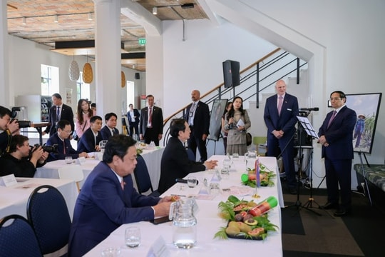 Thủ tướng Phạm Minh Chính muốn Việt Nam – New Zealand tăng cường hợp tác về khoa học nông nghiệp Thủ tướng Phạm Minh Chính muốn Việt Nam – New Zealand tăng cường hợp tác về khoa học nông nghiệp