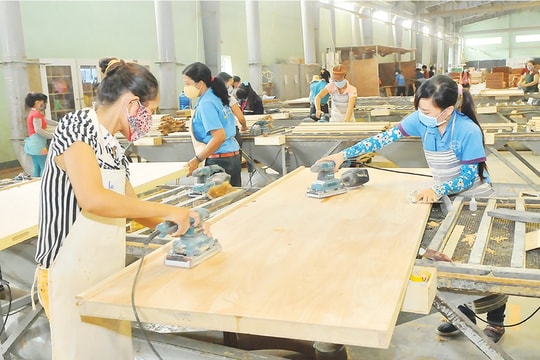 Đón thị trường Carbon, ngành gỗ vượt thách thức