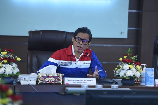 Indonesia muốn có thêm vốn nước ngoài đầu tư vào lĩnh vực khai khoáng