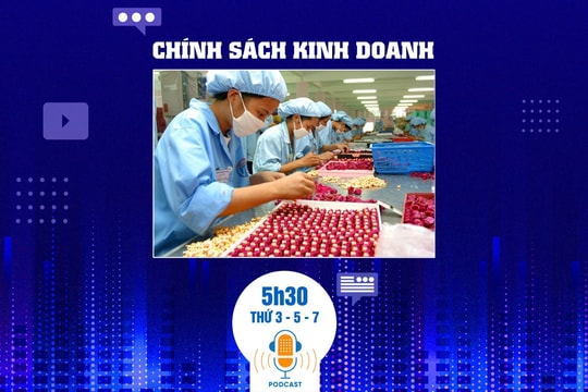 Bản tin Chính sách Kinh doanh ngày 14/3: Đề xuất áp thuế 10% với dịch vụ xuất khẩu gây bất lợi cho doanh nghiệp chế xuất?