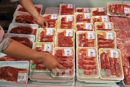 4 hiệp hội kiến nghị kiểm soát chặt sản phẩm chăn nuôi nhập khẩu 4 hiệp hội kiến nghị kiểm soát chặt sản phẩm chăn nuôi nhập khẩu
