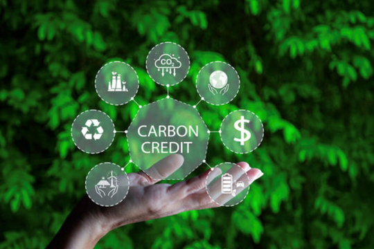 Giá bán tín chỉ carbon, dựa vào đâu? Giá bán tín chỉ carbon, dựa vào đâu?