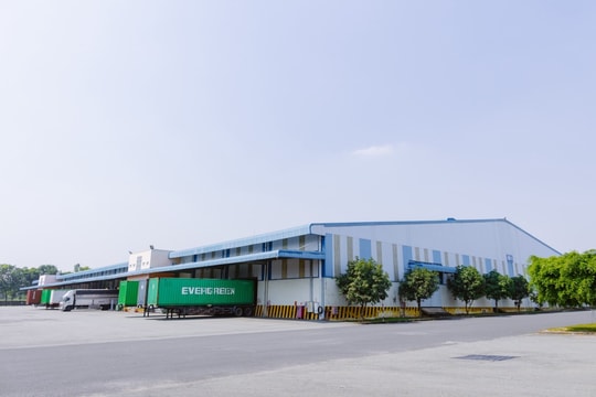 LTS: Cung cấp dịch vụ logistics trọn gói cho doanh nghiệp LTS: Cung cấp dịch vụ logistics trọn gói cho doanh nghiệp