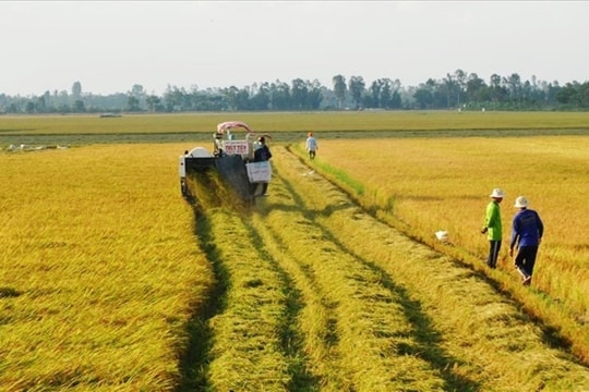 Nâng hạn mức nhận chuyển quyền sử dụng đất nông nghiệp của cá nhân không quá 15 lần Nâng hạn mức nhận chuyển quyền sử dụng đất nông nghiệp của cá nhân không quá 15 lần