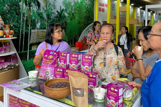 TP.HCM “bắt tay” các tỉnh Tây Nguyên tiêu thụ đặc sản TP.HCM “bắt tay” các tỉnh Tây Nguyên tiêu thụ đặc sản