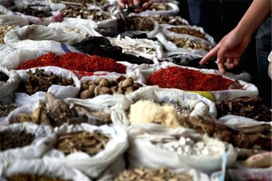 Thủ tướng chỉ đạo tháo gỡ khó khăn cho hoạt động xuất khẩu dược liệu