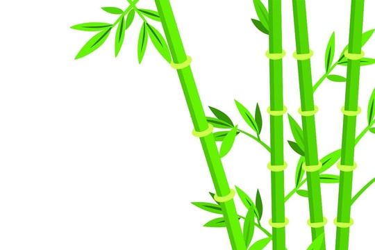 Nền ngoại giao “cây tre” trong toàn cầu hóa