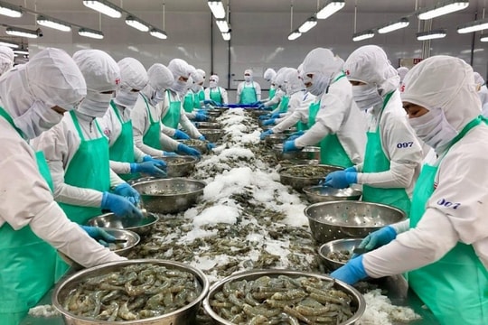 Việt Nam là đối tác lớn thứ 5 xuất khẩu thủy sản vào Singapore Việt Nam là đối tác lớn thứ 5 xuất khẩu thủy sản vào Singapore