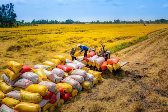 Việt Nam vượt Thái Lan, trở thành nước xuất khẩu gạo lớn thứ hai thế giới Việt Nam vượt Thái Lan, trở thành nước xuất khẩu gạo lớn thứ hai thế giới