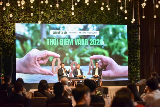 Nhà đầu tư nên bắt tay tổ chức chuyên nghiệp để quản lý tài sản hiệu quả