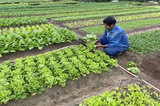 Đề xuất hướng dẫn cơ chế tài chính của Quỹ Hỗ trợ nông dân Đề xuất hướng dẫn cơ chế tài chính của Quỹ Hỗ trợ nông dân