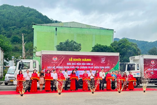 Saigon Co.op cam kết tiêu thụ mận hậu và nông sản Sơn La