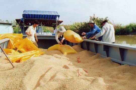 Đảm bảo mục tiêu kép trong điều hành xuất khẩu gạo Đảm bảo mục tiêu kép trong điều hành xuất khẩu gạo