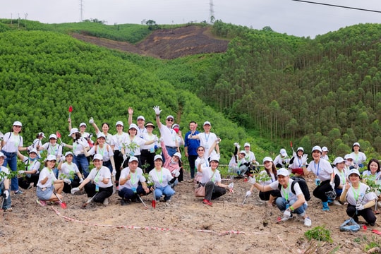Siberian Wellness Eco Camp - Truyền cảm hứng về lối sống bền vững Siberian Wellness Eco Camp - Truyền cảm hứng về lối sống bền vững
