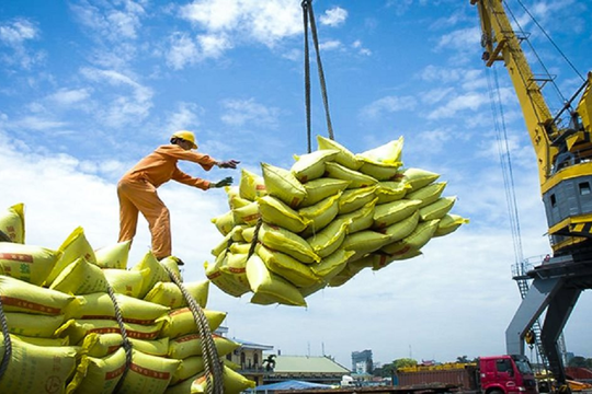 Việt Nam là đối tác xuất khẩu gạo lớn nhất của Philippines