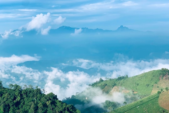 Chung tay thực hiện Chiến dịch “Vì một Việt Nam xanh và phát triển bền vững” Chung tay thực hiện Chiến dịch “Vì một Việt Nam xanh và phát triển bền vững”