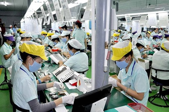 TP.HCM: Tỷ lệ thất nghiệp giảm TP.HCM: Tỷ lệ thất nghiệp giảm