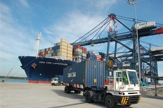 Kiến nghị điều tra việc hàng hóa xuất khẩu bị thiếu hụt khi lưu tại cảng Kiến nghị điều tra việc hàng hóa xuất khẩu bị thiếu hụt khi lưu tại cảng