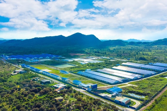 Hùng Nhơn tiên phong trong lĩnh vực nông nghiệp sử dụng công nghệ cao Hùng Nhơn tiên phong trong lĩnh vực nông nghiệp sử dụng công nghệ cao