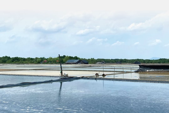 Đến Thiềng Liềng: Trải nghiệm chút “mặn mòi” nơi ấp đảo Đến Thiềng Liềng: Trải nghiệm chút “mặn mòi” nơi ấp đảo