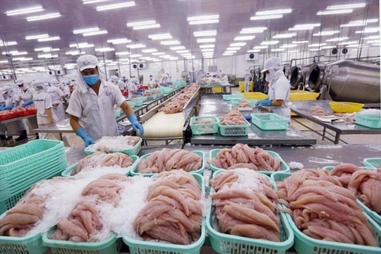 Xuất khẩu thủy sản những tháng cuối năm: “Vừa thách thức vừa kỳ vọng” Xuất khẩu thủy sản những tháng cuối năm: “Vừa thách thức vừa kỳ vọng”