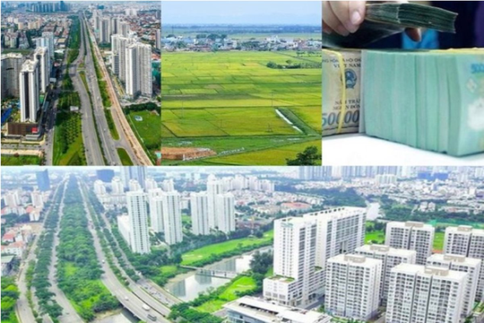 Thủ tướng yêu cầu đẩy nhanh tiến độ xây dựng, ban hành văn bản quy định chi tiết thi hành 4 Luật Thủ tướng yêu cầu đẩy nhanh tiến độ xây dựng, ban hành văn bản quy định chi tiết thi hành 4 Luật