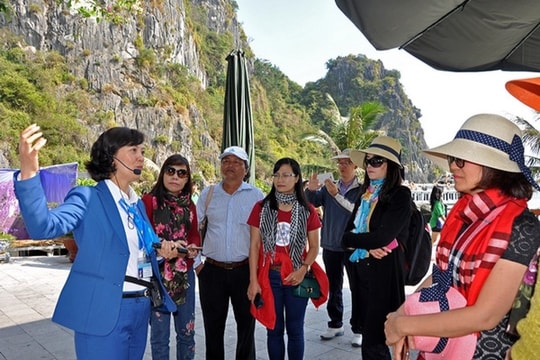 Áp dụng tiêu chuẩn thành thạo ngoại ngữ cho hướng dẫn viên du lịch quốc tế