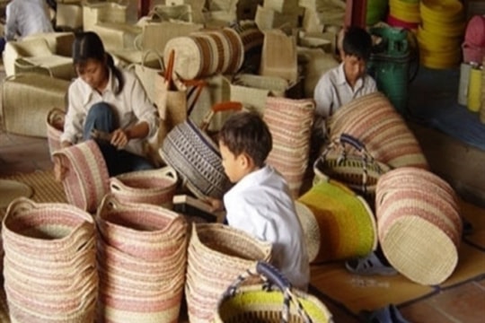 Doanh nghiệp chuyển đổi từ hộ kinh doanh được đề xuất miễn thuế thu nhập 2 năm liên tiếp Doanh nghiệp chuyển đổi từ hộ kinh doanh được đề xuất miễn thuế thu nhập 2 năm liên tiếp