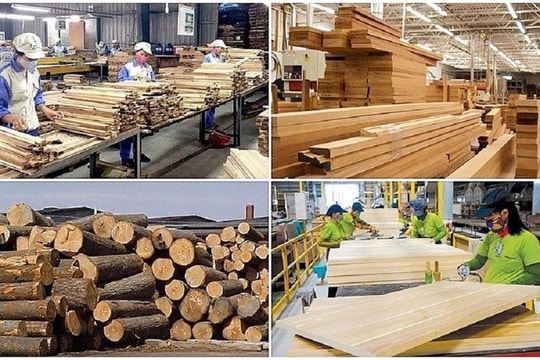 Xuất khẩu gỗ và lâm sản thu gần 8 tỷ USD trong 6 tháng đầu năm Xuất khẩu gỗ và lâm sản thu gần 8 tỷ USD trong 6 tháng đầu năm