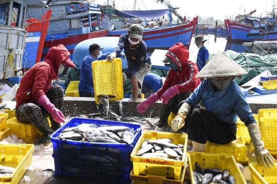 Việt Nam sẽ đầu tư 5 trung tâm nghề cá lớn