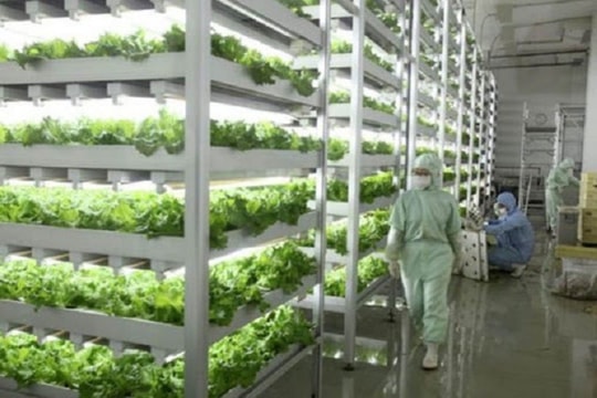 Quy hoạch bảo vệ môi trường quốc gia đến 2030 chính thức được phê duyệt Quy hoạch bảo vệ môi trường quốc gia đến 2030 chính thức được phê duyệt