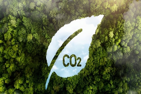 Bổ sung quy định cơ chế trao đổi, bù trừ tín chỉ carbon song phương Bổ sung quy định cơ chế trao đổi, bù trừ tín chỉ carbon song phương