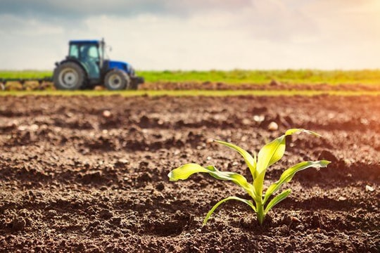 Đề xuất miễn thuế sử dụng đất nông nghiệp 10 năm