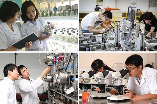 TP.HCM phát huy lợi thế kinh tế tri thức TP.HCM phát huy lợi thế kinh tế tri thức